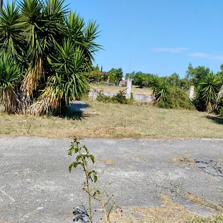 Yucca House